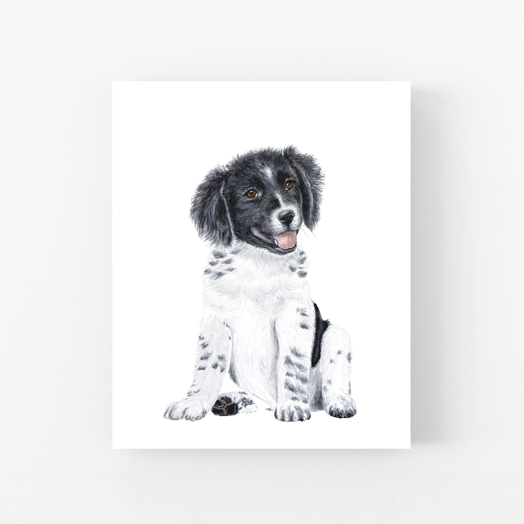 Border Collie Puppy - Tiny Toes Design