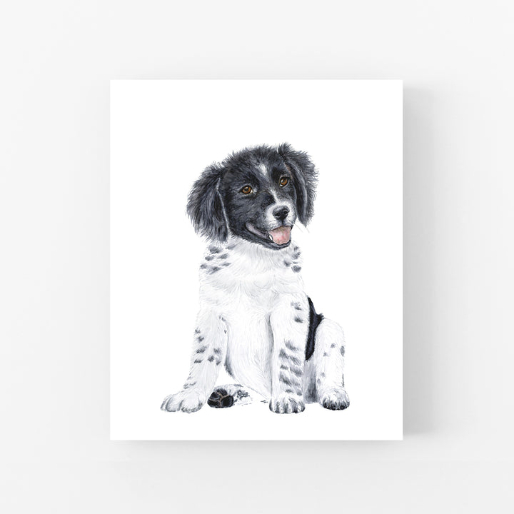 Border Collie Puppy - Tiny Toes Design