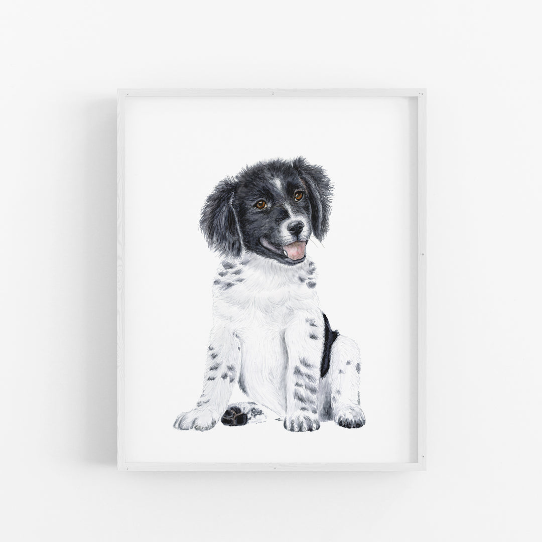 Border Collie Puppy - Tiny Toes Design