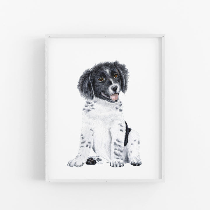 Border Collie Puppy - Tiny Toes Design