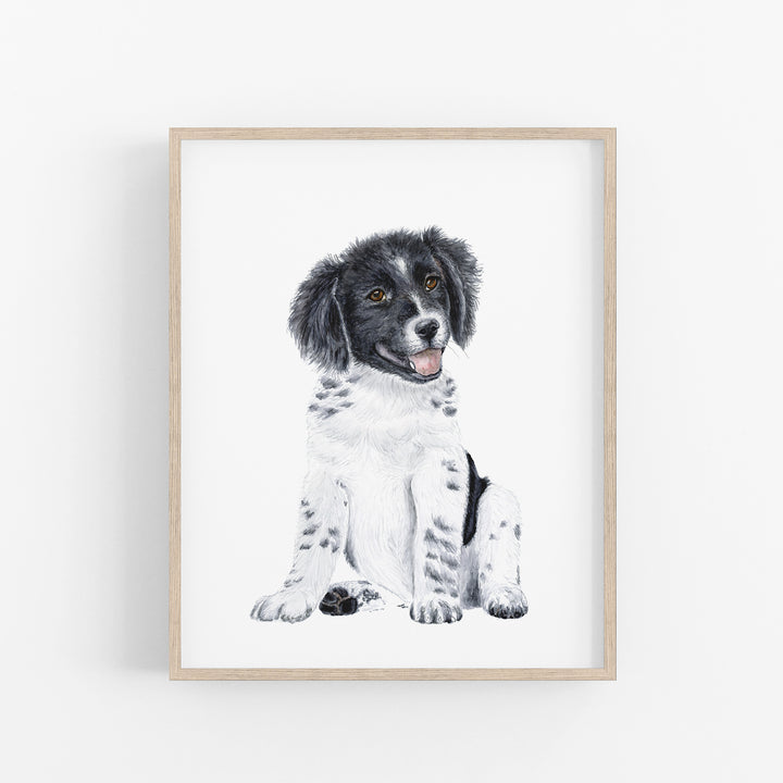 Border Collie Puppy - Tiny Toes Design