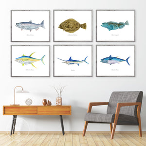 California Fish Prints