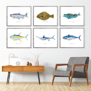 California Fish Decor