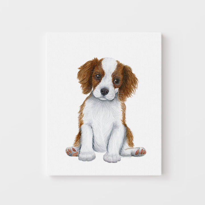 Cavalier King Charles Spaniel Puppy - Tiny Toes Design