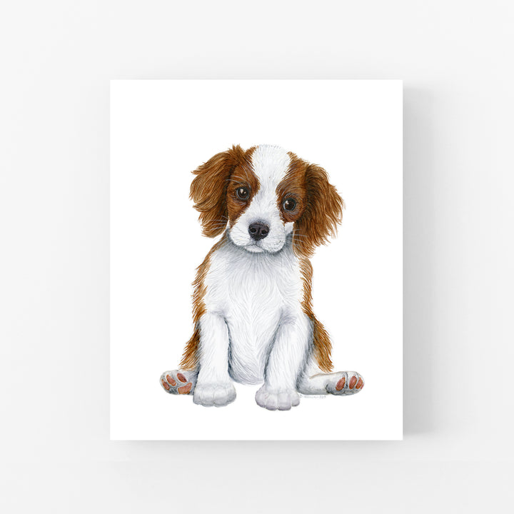 Cavalier King Charles Spaniel Puppy - Tiny Toes Design