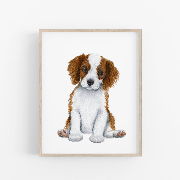 Cavalier King Charles Spaniel Puppy - Tiny Toes Design
