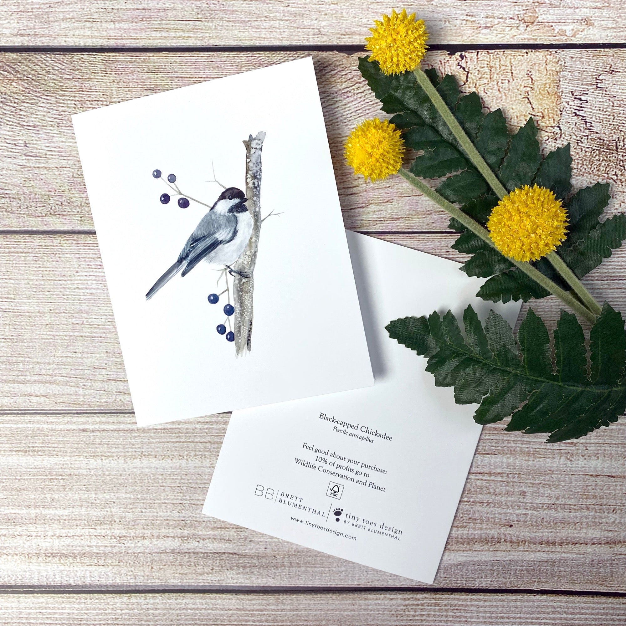 Assorted Bird Watercolor Notecard Set | Bird Stationery – Tiny