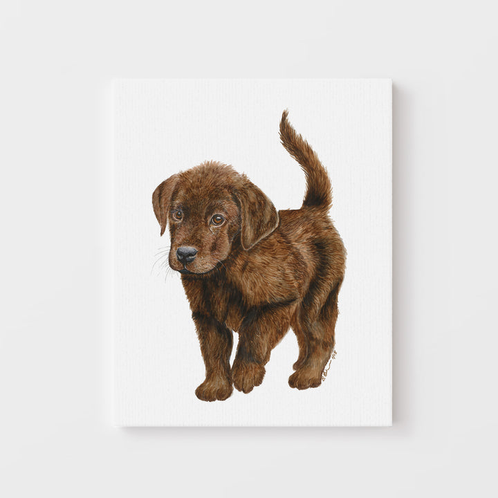 Chocolate Labrador Puppy Print - Tiny Toes Design