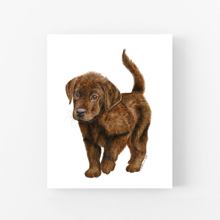 Chocolate Labrador Puppy Print - Tiny Toes Design