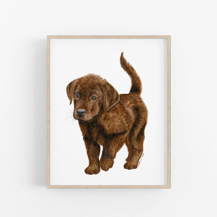 Chocolate Labrador Puppy Print - Tiny Toes Design