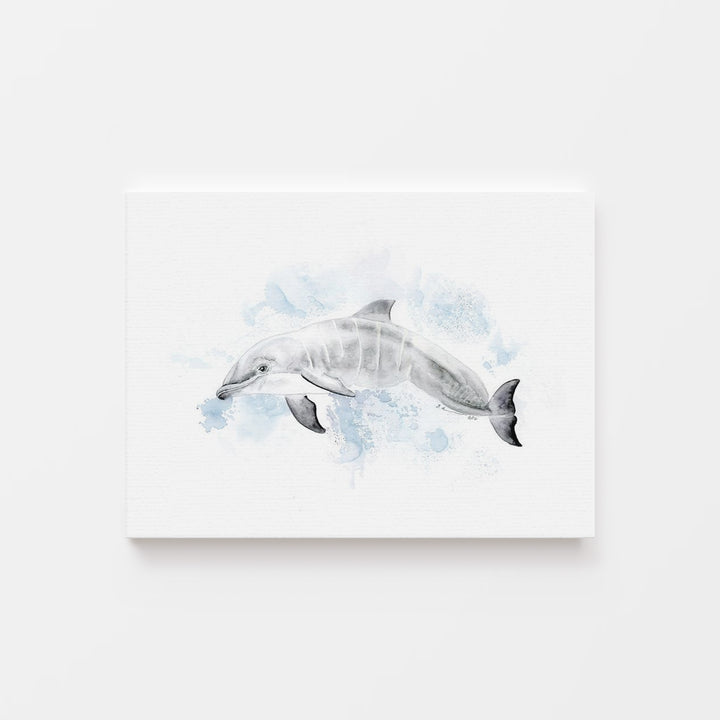 a painting of a dolphin on a white wall