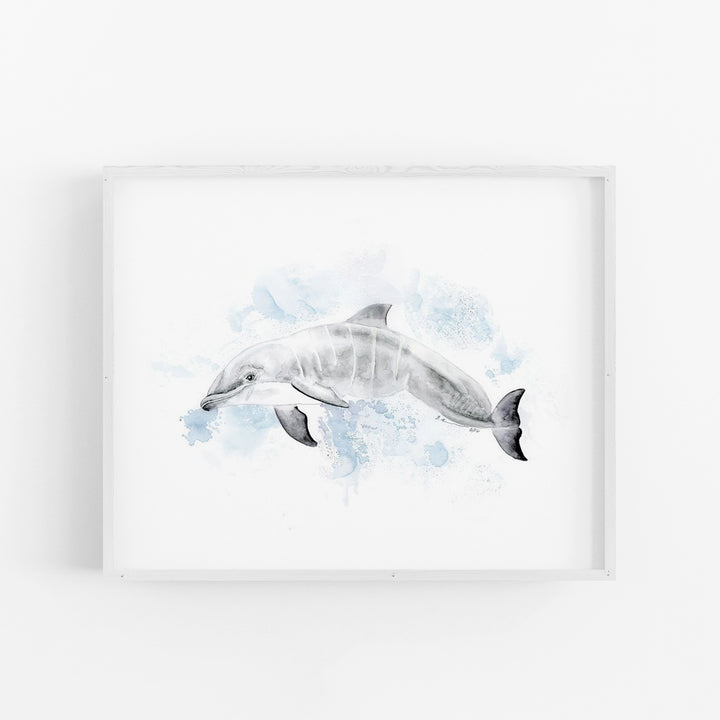 a picture of a dolphin in the water