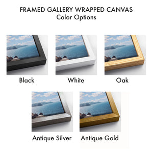 Frame Color Options