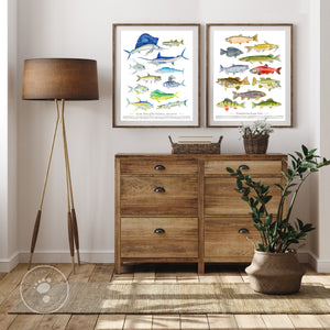 Fish Species Posters