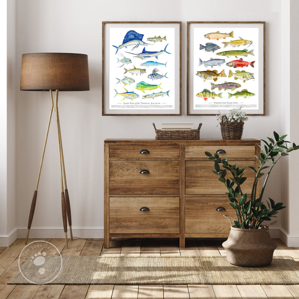 Freshwater Fish Species Poster | Fish Watercolor Print | Fish Wall Art ...