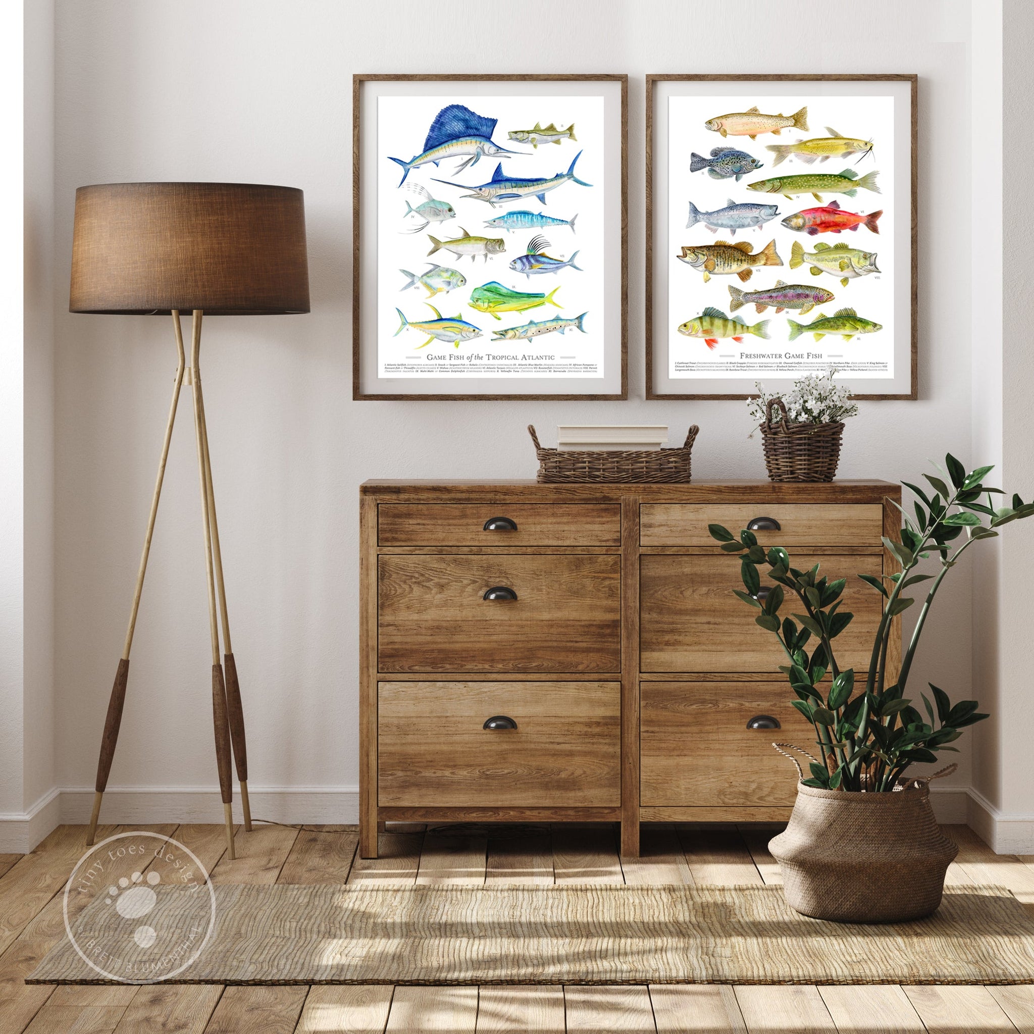 Freshwater Fish Species Poster | Fish Watercolor Print | Fish Wall Art ...