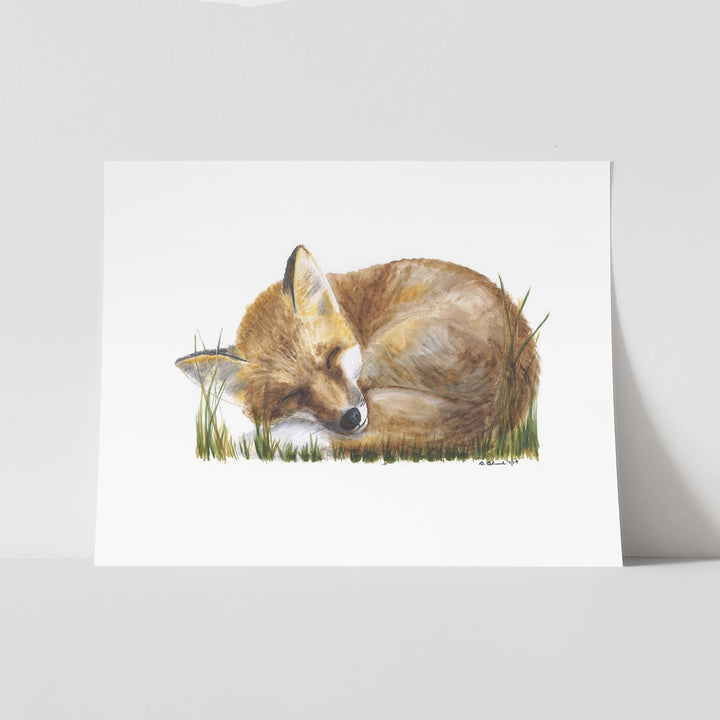 Sleeping Baby Fox - Tiny Toes Design