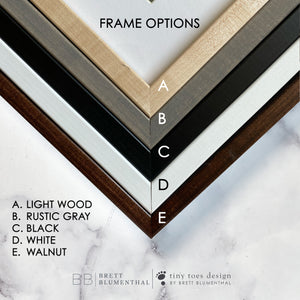 Framing Color Options