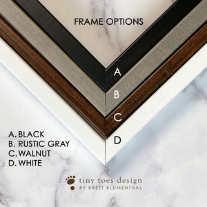 Frame Color Options