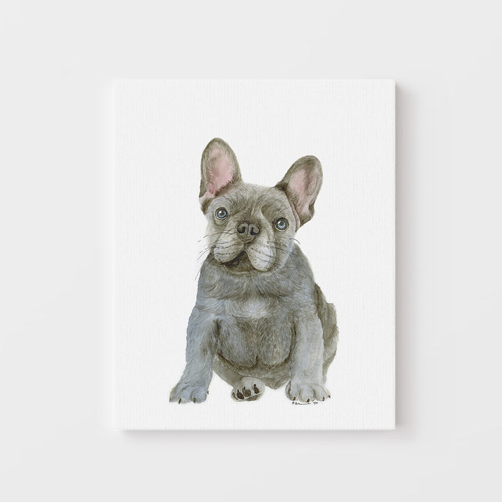 French Bulldog Puppy - Tiny Toes Design