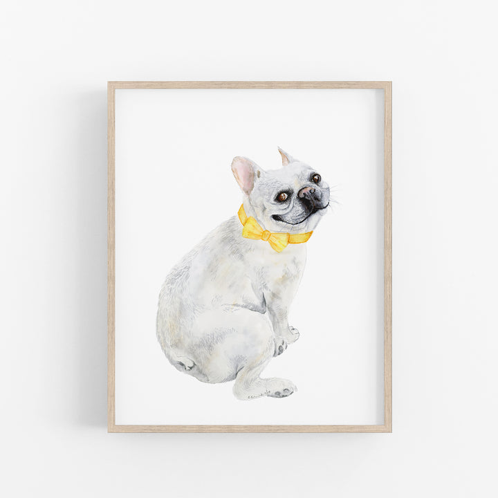 French Bulldog Portrait - Tiny Toes Design