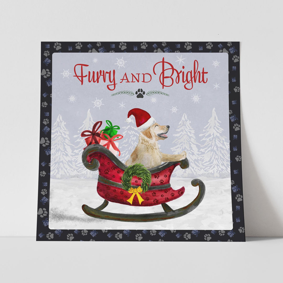 Furry and Bright - Tiny Toes Design