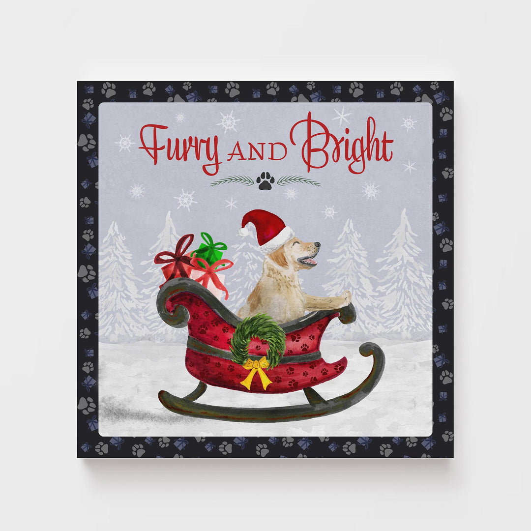 Furry and Bright - Tiny Toes Design