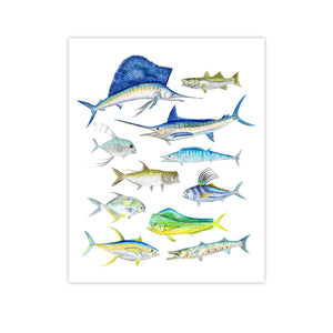  Watercolor Fish Species Print