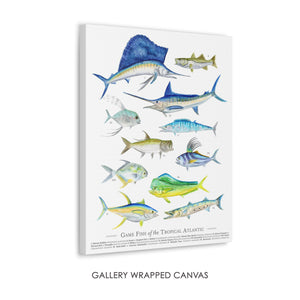 Fishing Wall Decor for Men