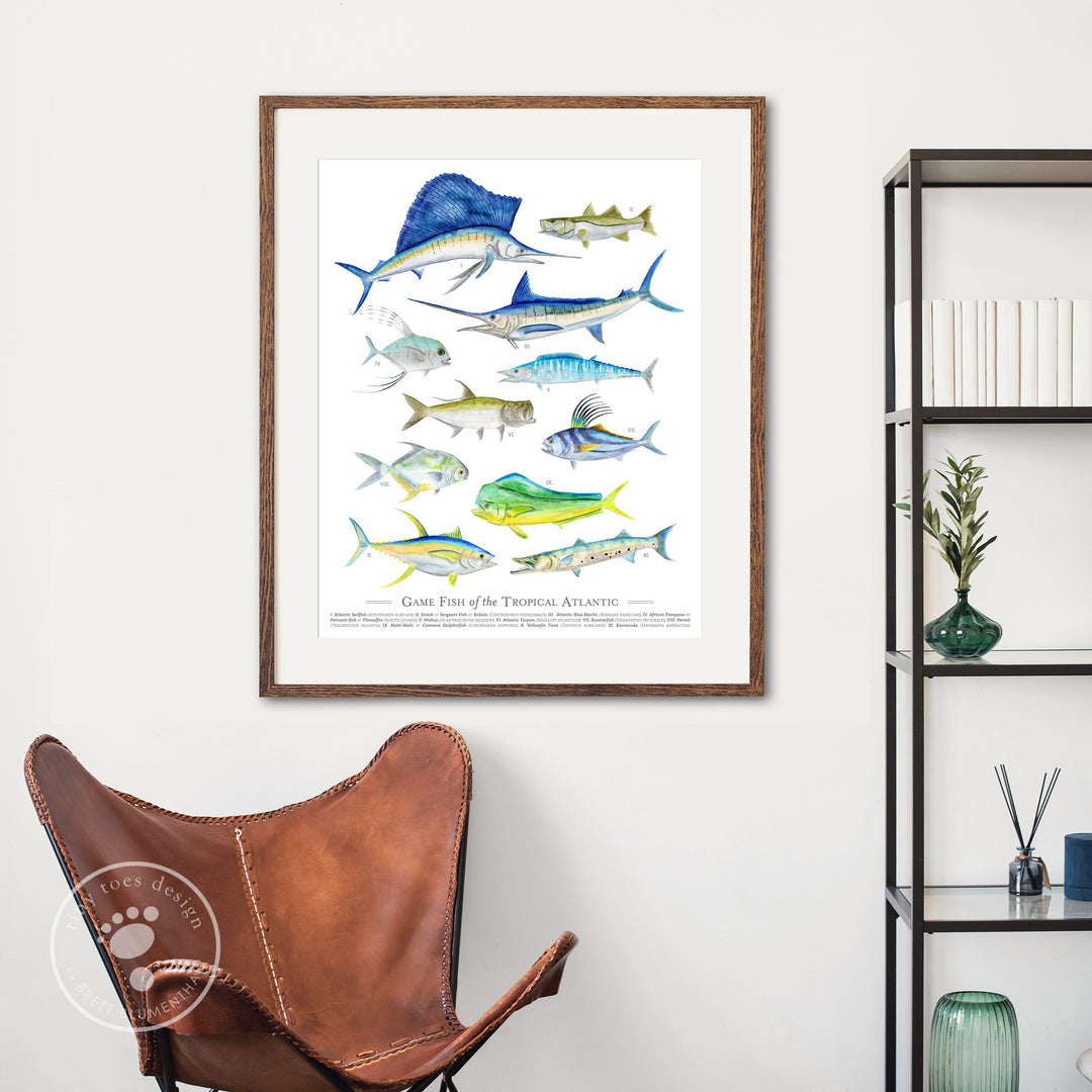 Game Fish of the Tropical Atlantic Poster