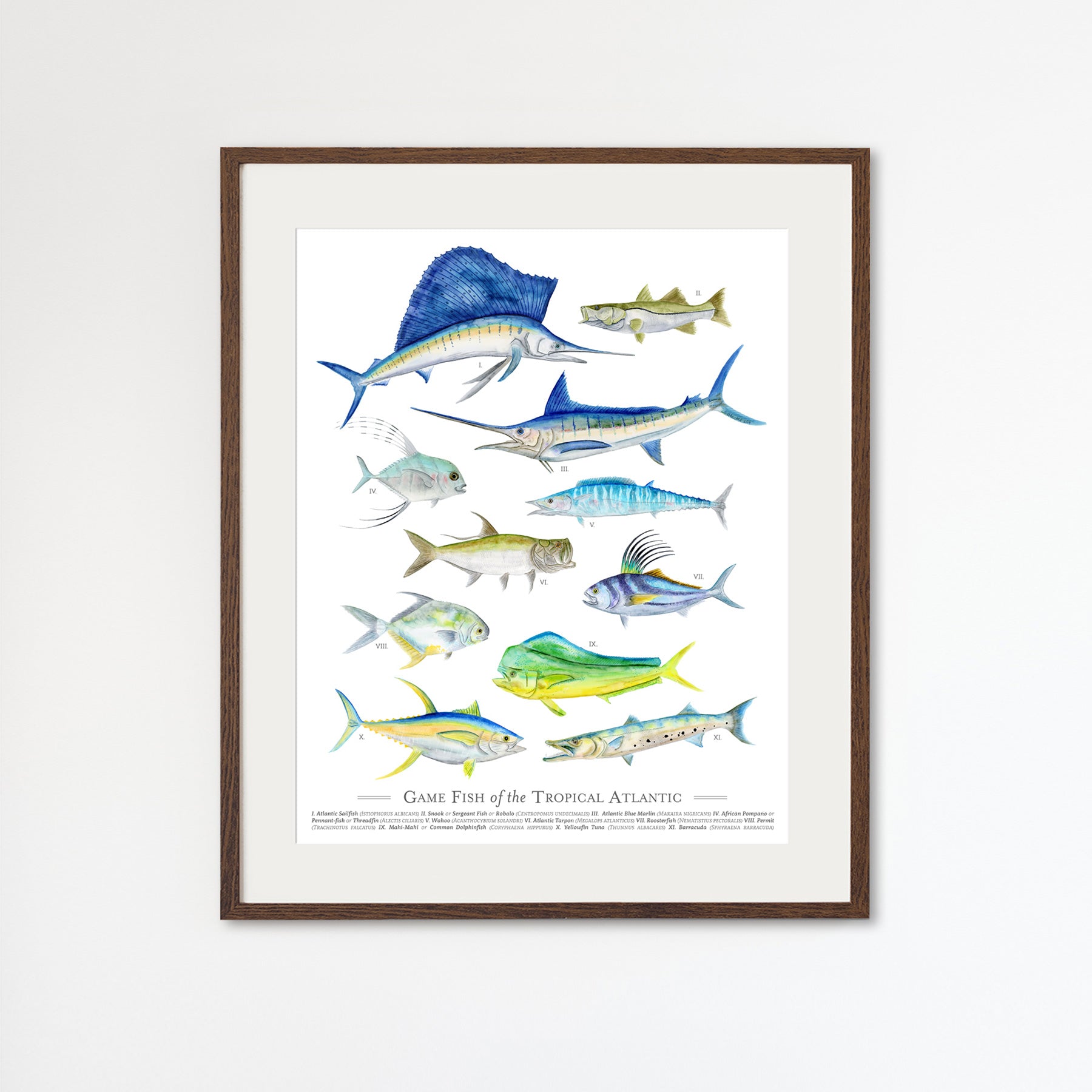 Tropical Fish Chart Poster