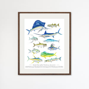 Tropical Game Fish Species Poster