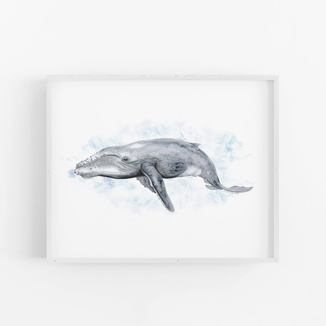 a drawing of a whale in a frame