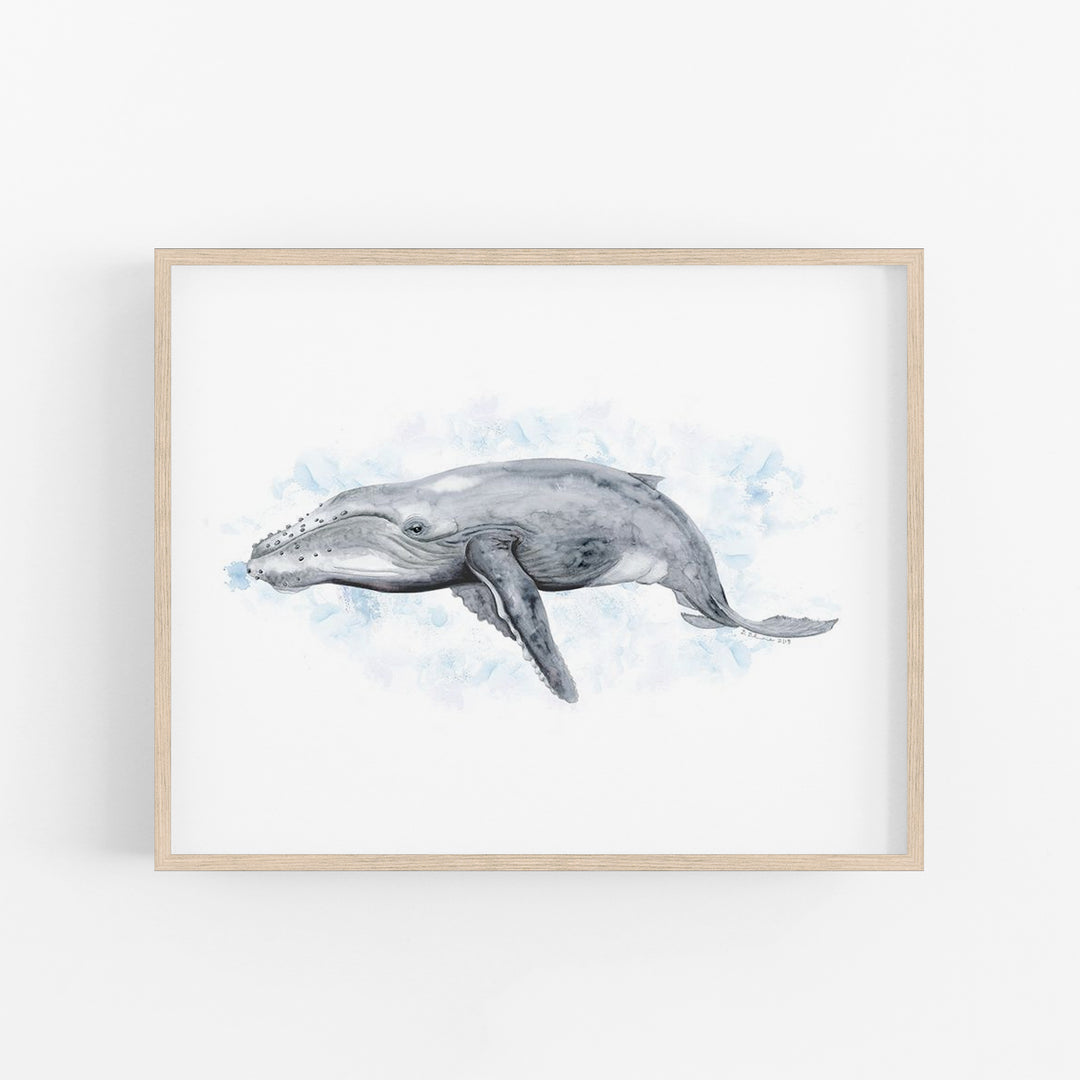 a drawing of a whale in watercolor on a white background