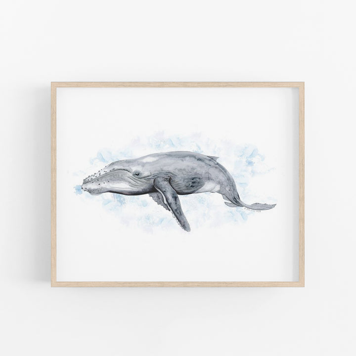 a drawing of a whale in watercolor on a white background