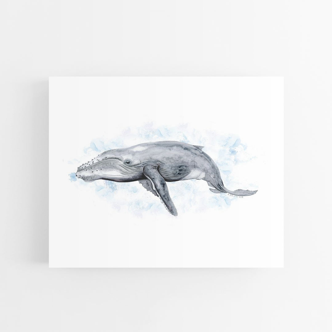 a drawing of a dolphin swimming in the ocean