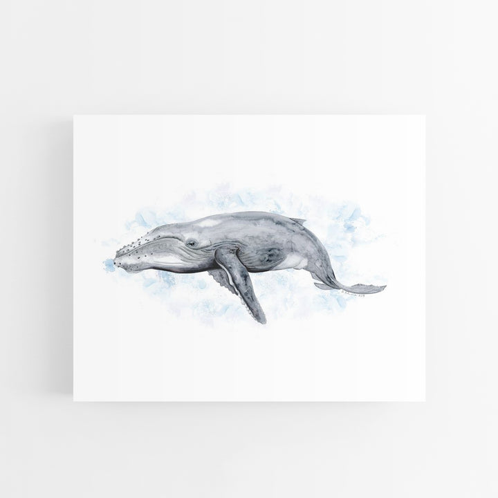 a drawing of a dolphin swimming in the ocean