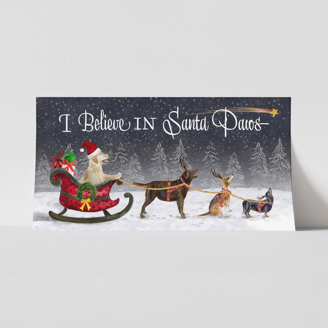 I Believe in Santa Paws - Tiny Toes Design