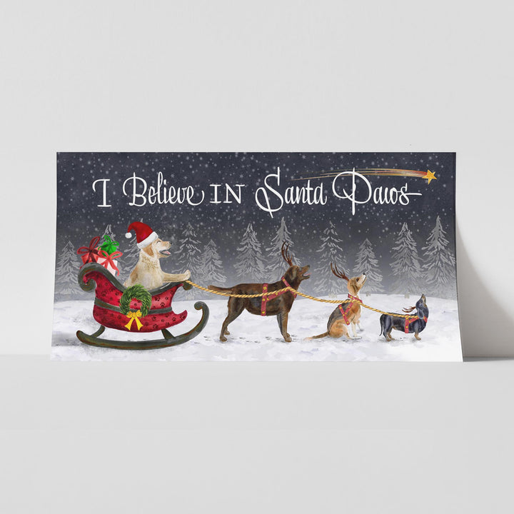 I Believe in Santa Paws - Tiny Toes Design