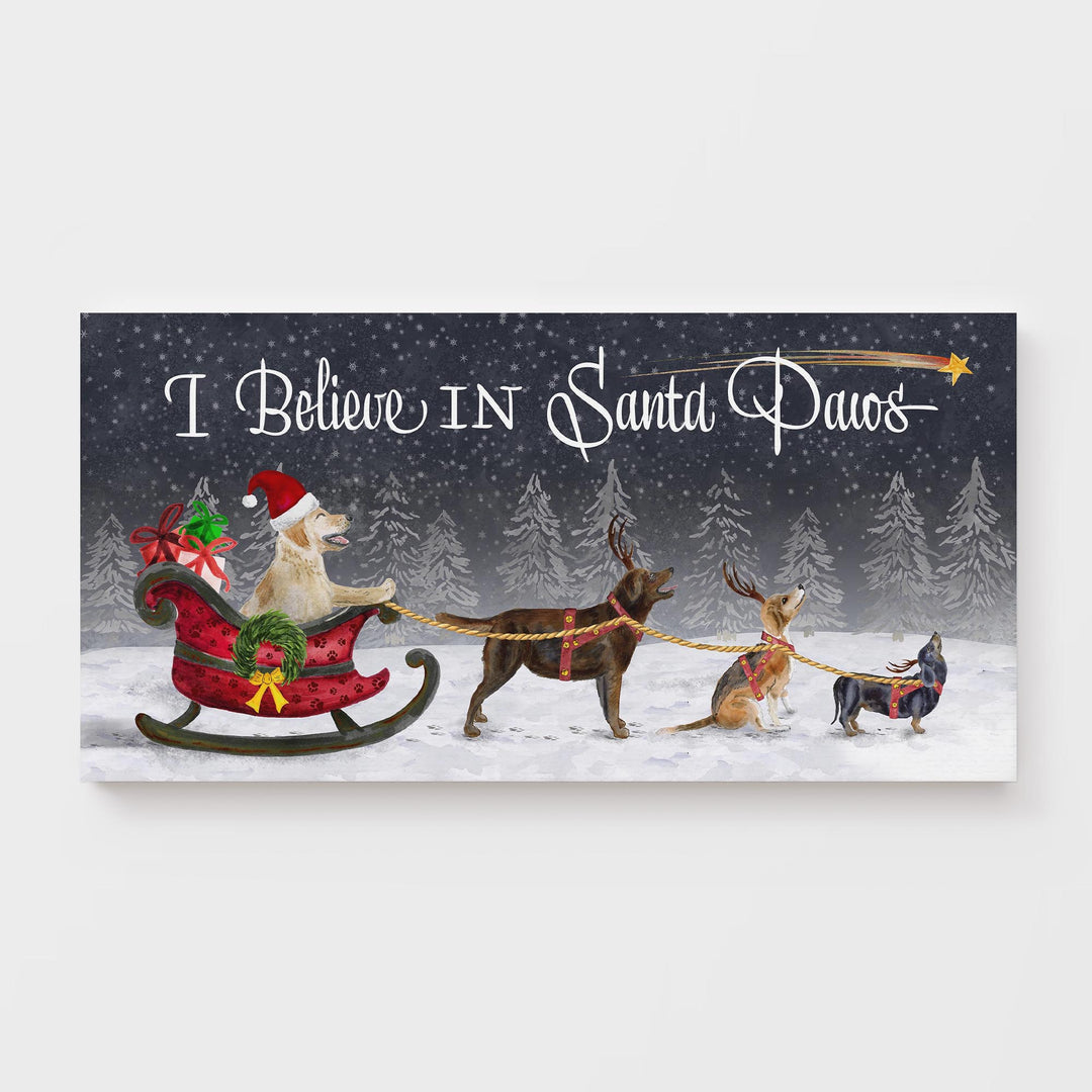 I Believe in Santa Paws - Tiny Toes Design