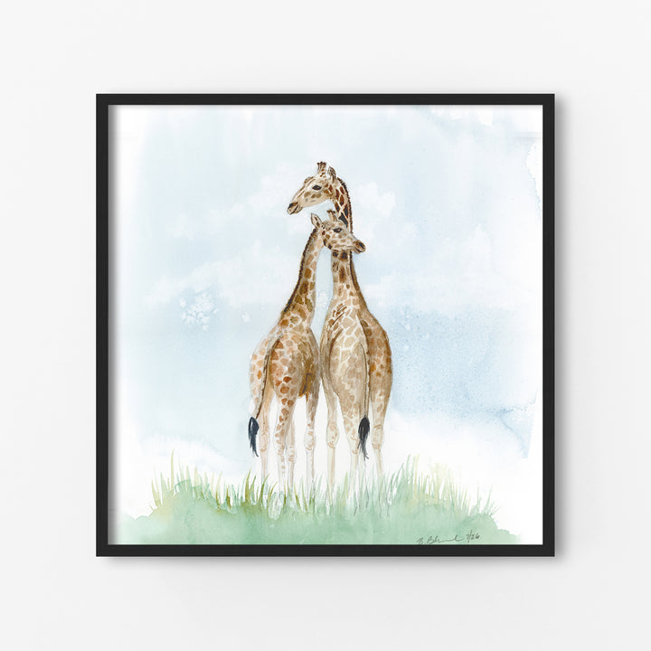 Kindred: Giraffes