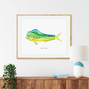 Mahi Mahi Watercolor - Fish Art Mount