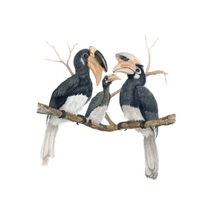 Hornbill Family Wall Decor