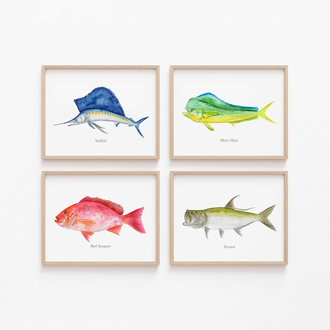 Set of 4 ocean fish wall art prints featuring sailfish, mahi, red snapper, and tarpon in light wood frames