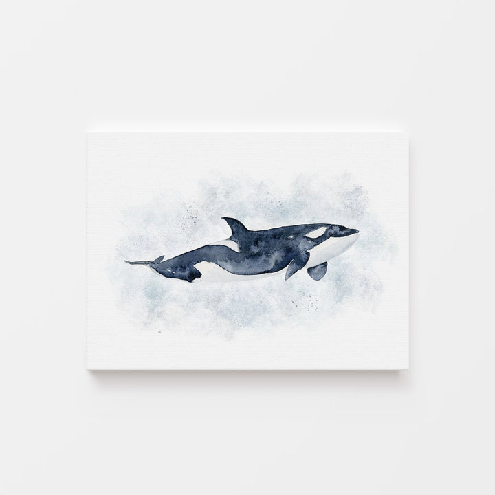 Orca Watercolor Art - Sea Life Nursery Decor - Tiny Toes Design