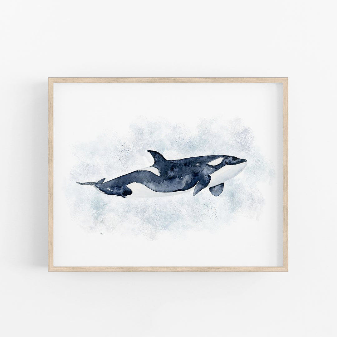 Orca Watercolor Art - Sea Life Nursery Decor - Tiny Toes Design