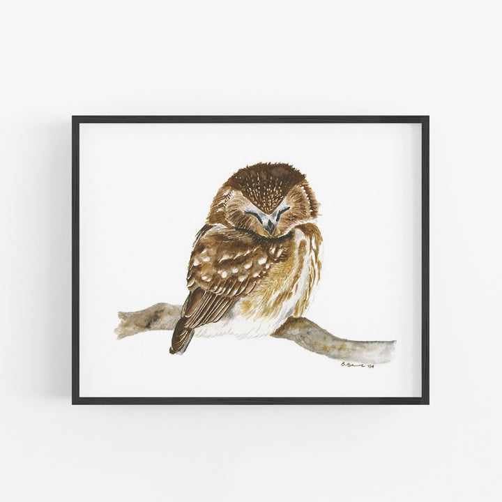Sleeping Baby Owl Print - Tiny Toes Design