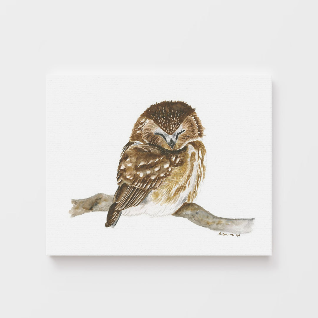 Sleeping Baby Owl Print - Tiny Toes Design