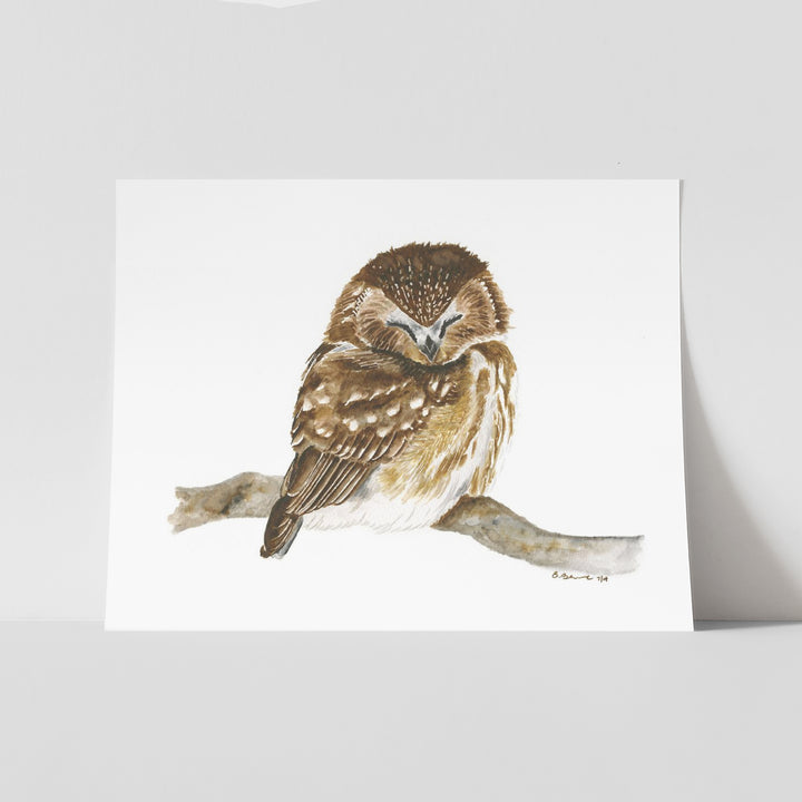 Sleeping Baby Owl Print - Tiny Toes Design