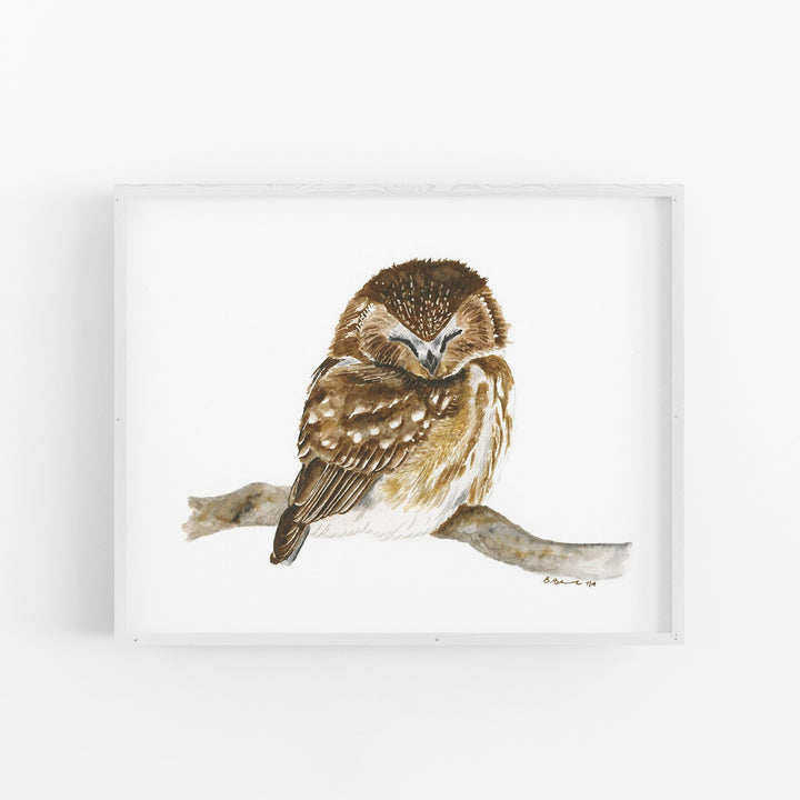 Sleeping Baby Owl Print - Tiny Toes Design